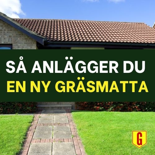 Så anlägger du en ny gräsmatta Så anlägger du en ny gräsmatta